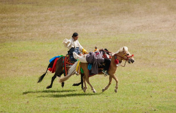 Northern Tibetan Horse Racing Festival